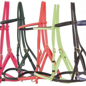 Biotack Bridon Licol