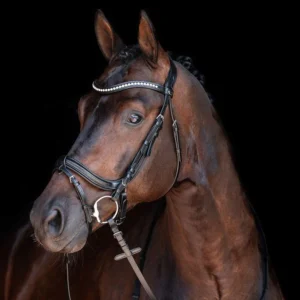 Bridon HKM Anatomic Crystal