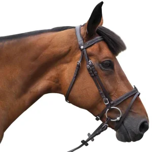 Bridon Canter Black Strass