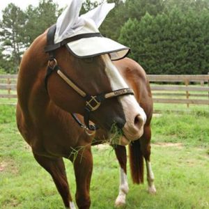 Casquette Protege Yeux Anti UV 90% avec mouton