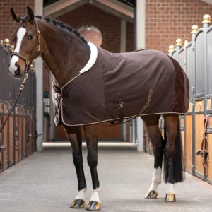 Chemise séchante polaire HKM Basil