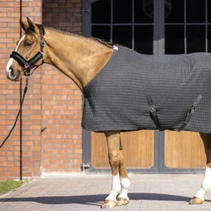 Chemise séchante HKM Winter