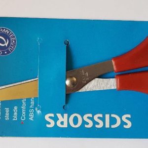 ciseaux.jpgv1622877327 Ciseaux