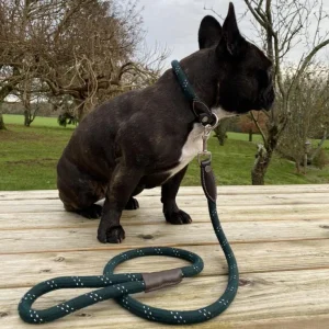 Laisse pour chien Canter Corde