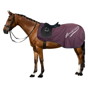 couvre-reins-impermeable-poney-cheval-imperial-riding-super-dry-bordeaux.jpgv1667313114 Couvre-reins imperméable doublé polaire Imperial Riding Super-Dry