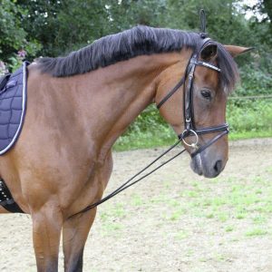 covallieroenrenementelastique.jpgv1622877407 Covalliero Enrenement Elastique