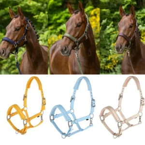 covallierolicolete.jpgv1712141879 Covalliero Licol D'Ete