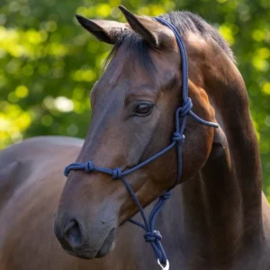 covallierolicolethonoedsmarine.jpgv1756574655 Covalliero Licol Ethologique Noué Marine