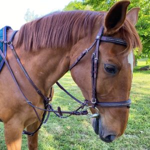 Collier de chasse Flags&Cup Helsinki