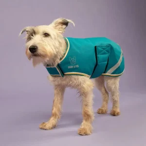 Digby & Fox Couverture Chien Teal