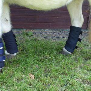 Dinky Guetres Ecurie Mini