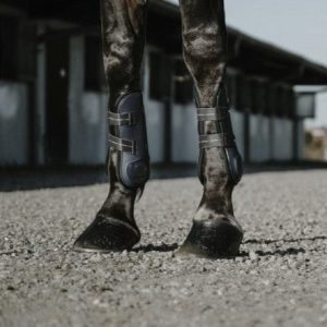 Ensemble guêtres et protège-boulets Equithème French Touch