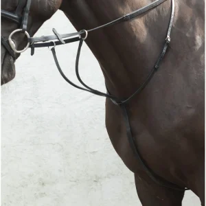 Equisential Martingale a Anneaux
