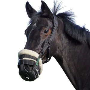 Freegraze Airflow Museliere avec Mouton