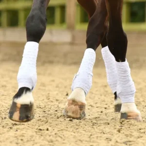 Guêtres Equilibrium Stretch&Flex intégrales