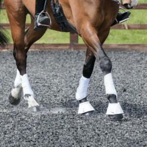 Guêtres Equilibrium Stretch&Flex simples