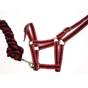 Harlequin Licol et Longe Bi -Couleur