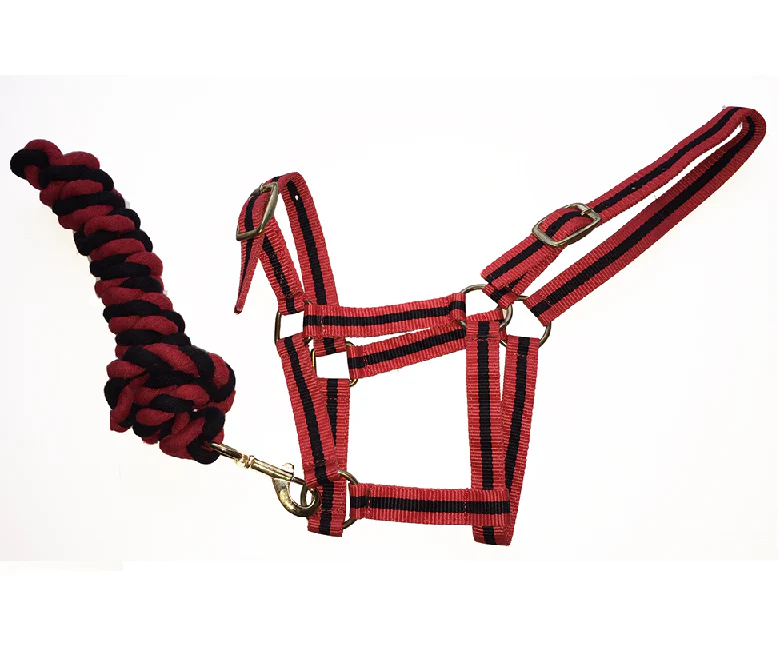 Harlequin Licol et Longe Bi -Couleur