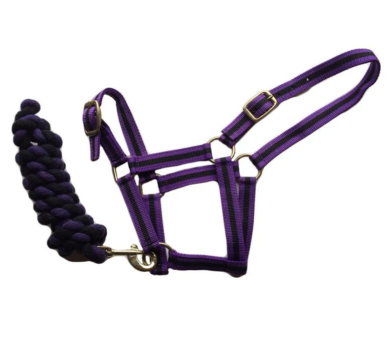 Harlequin Licol et Longe Bi -Couleur – Image 2