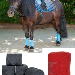 HKM Bandes Polaire Shetty