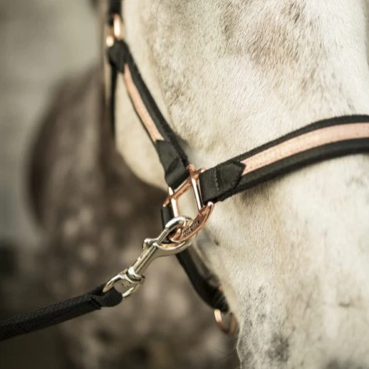 Licol Lami-Cell Sparkling – Image 2