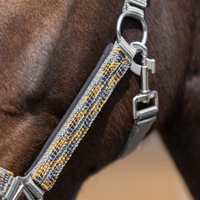 Licol HKM Lyon – Image 2