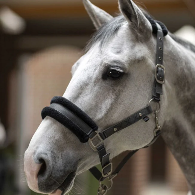 Licol HKM Rosewood – Image 2