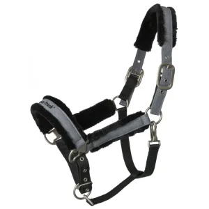 licol-poneys-chevaux-back-on-track-haze-gris.jpgv1612543990 Licol Back On Track Haze