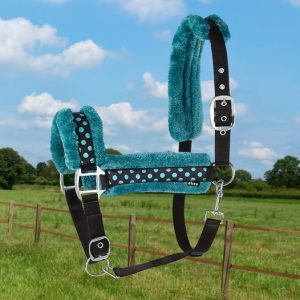 Elico Licol Coniston Vert