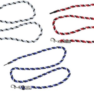 longemustang.jpgv1710457027 Covalliero Longe Mustang