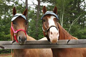 Casquette Protege UV 90% sans Oreilles