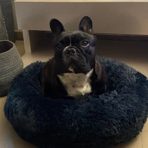 Coussin pour chien HKM Fluffy