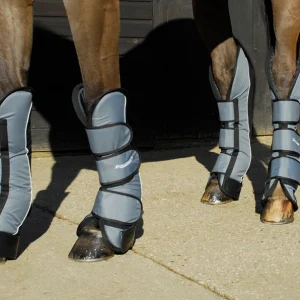 Rhinegold Elite Guetres de Transport