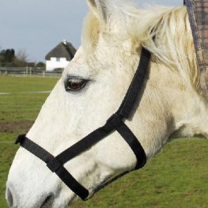 Rhinegold Licol de Securite en Nylon