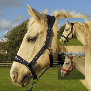 Rhinegold licol et longe Star