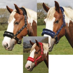 Rhinegold Licol Fluffy