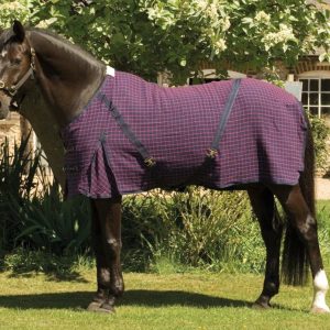 Rhinegold Sechante Waffle