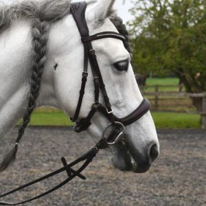 Rhinegold Bridon Anatomique