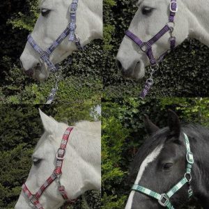 Rhinegold Carnival Ecosse Licol et Longe