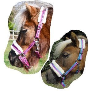 Rhinegold Licol Bright