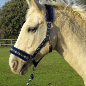 Rhinegold Licol et longe Etoiles