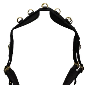 rhinegoldsurfaixenNylon.jpgv1710457699 Windsor Surfaix en Nylon