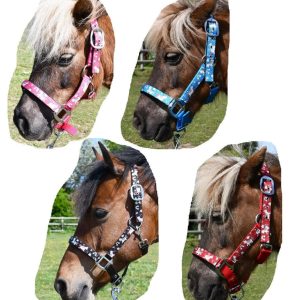 Rhinegold Licol et Longe Licorne