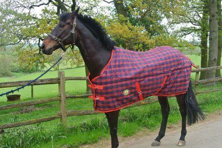 Couverture Ecurie Ecossaise 200g