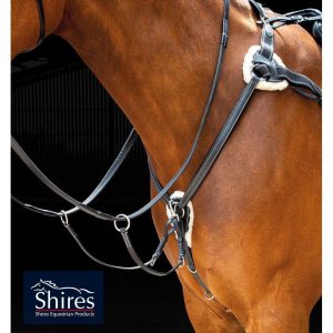 Salisbury Collier de Chasse 5 point