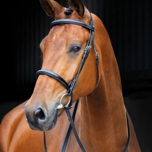 Salisbury Fairford Bridon