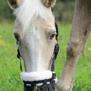 Shires Museliere Confort Deluxe