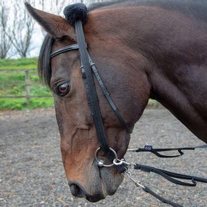 Adapteur pour Longer