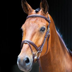 Salisbury Bodenham Bridon