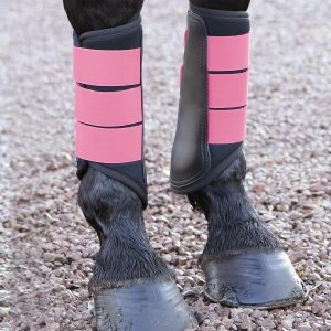 shiresguetresneoprenerose.jpgv1710459684 Shires Guetres Ferme Rose